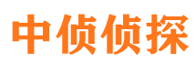 武侯捉小三公司